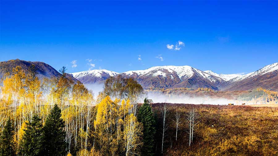 Xinjiang: Economy, Industry, Trade, and Investment Profile