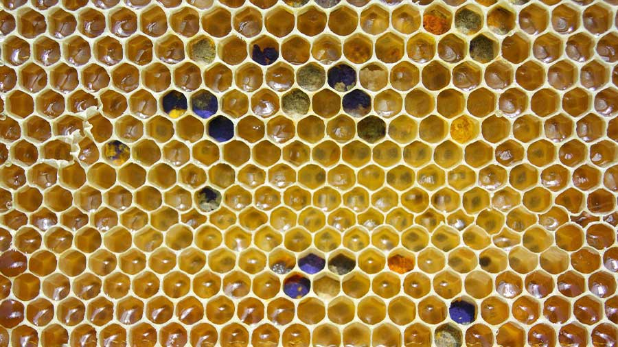 Biopharmaceuticals and Biomaterials Industries: Investing in China