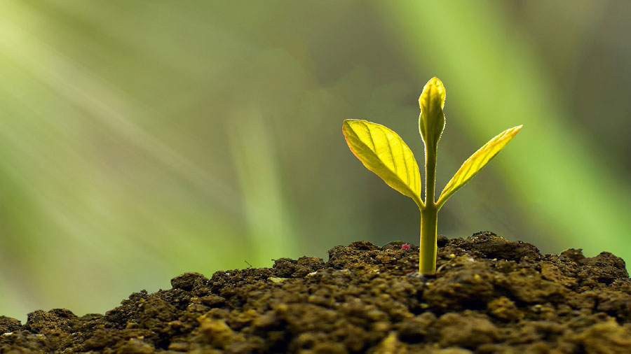 Green Finance Market: Investing in China