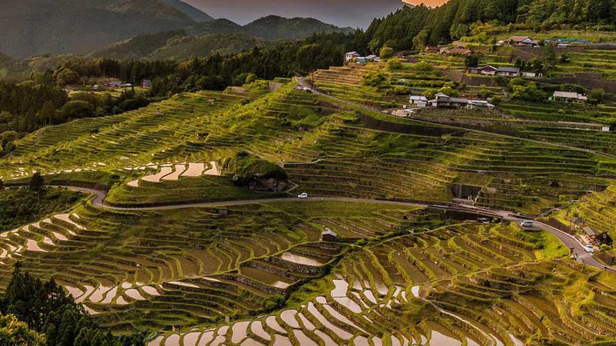 Green Industries: Foreign Investment Prospects