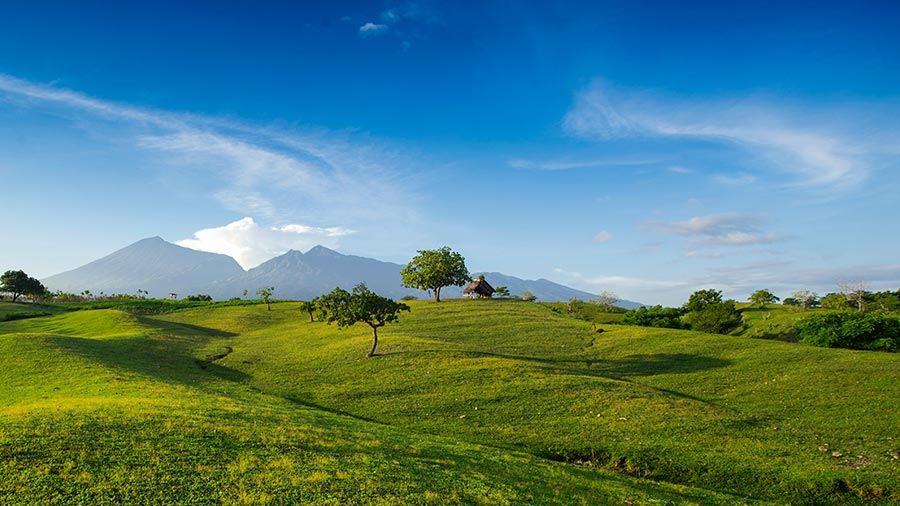 Investing in Nusantara - Indonesia's New Capital City