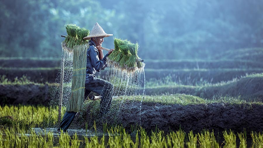 Top Sectors to Watch for in 2023