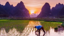 Finding an Ideal Location – Utilizing Vietnam’s Economic Regions