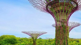 An Introduction to Doing Business in Singapore 2026