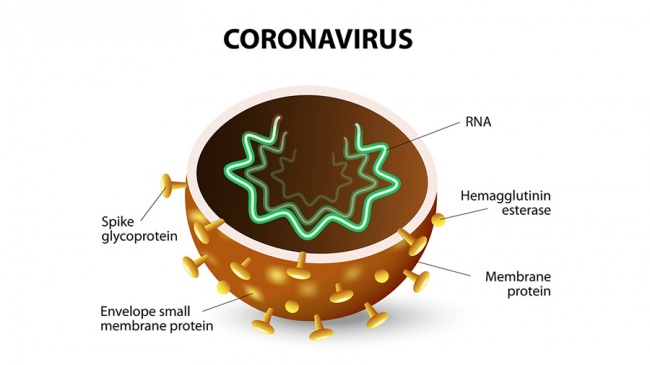 Coronavirus Outbreak: Navigating China HR and Operational Questions