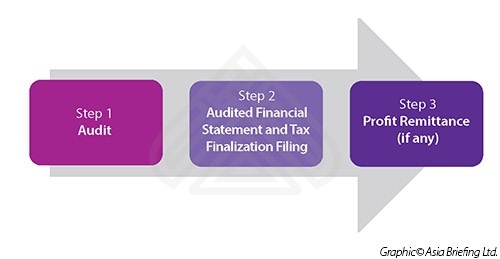Steps in the Vietnam Auditing Process 